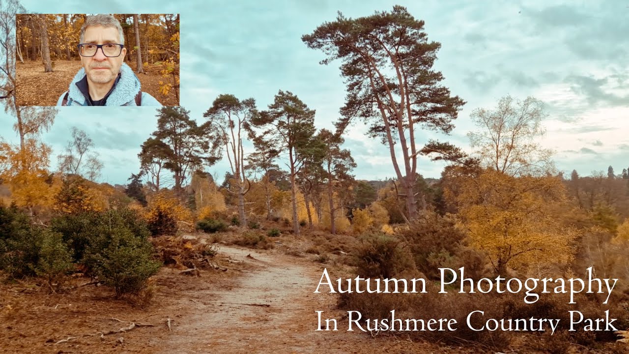 Autumn Photography In Rushmere Country Park, Bedfordshire