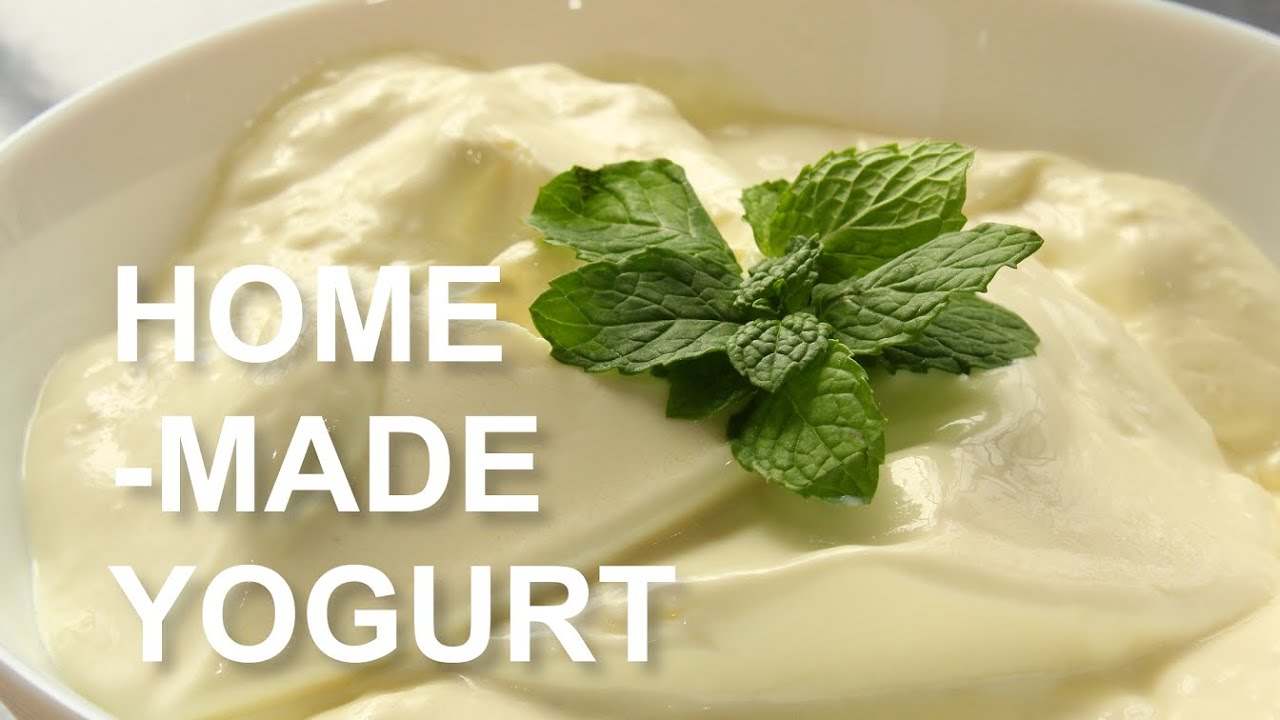 Thick & Creamy Yogurt using Powdered Milk | Home-made Yogurt