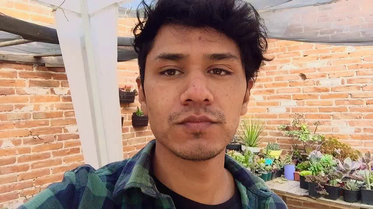 Cactus tour / tour por mi colección de cactus 🌵