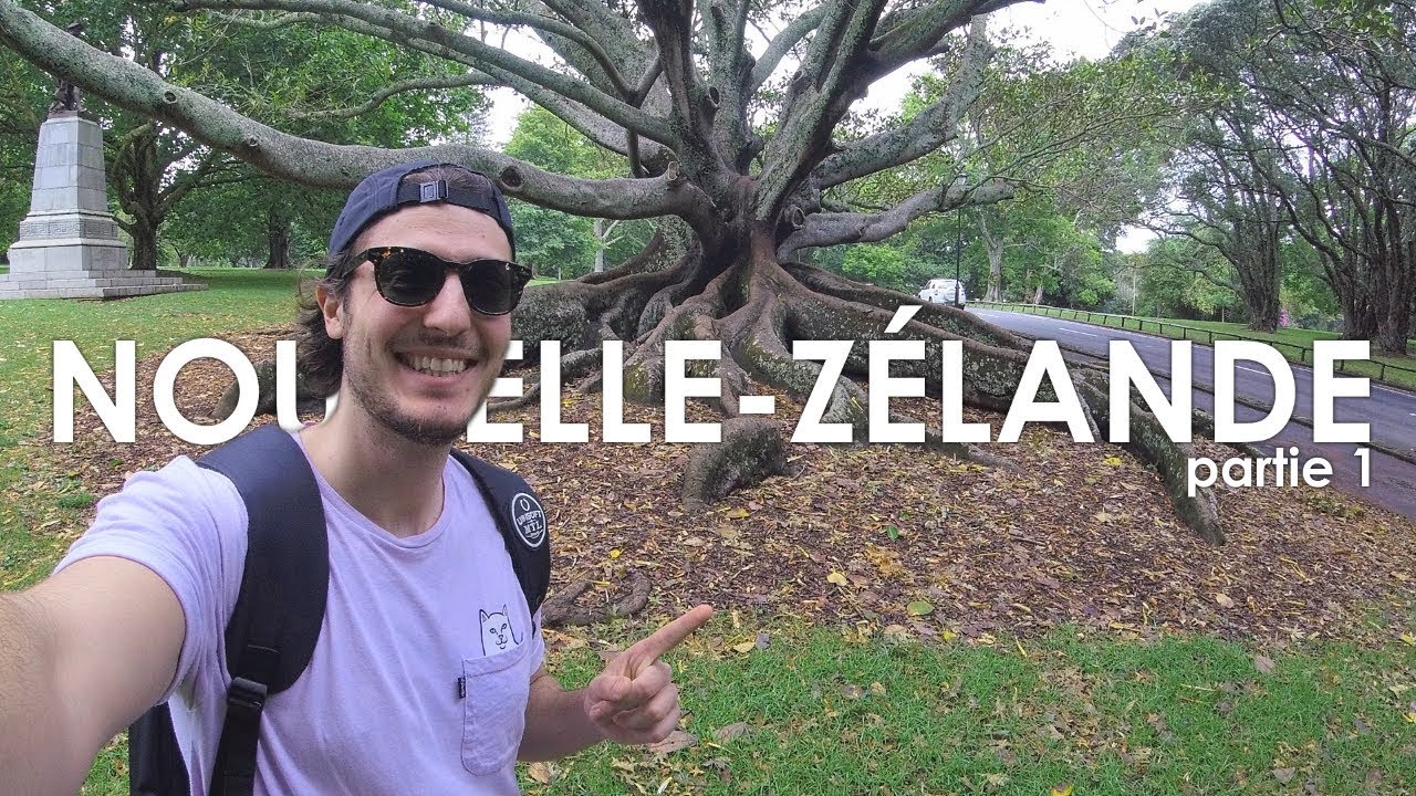 VOYAGER SEUL EN NOUVELLE-ZÉLANDE
