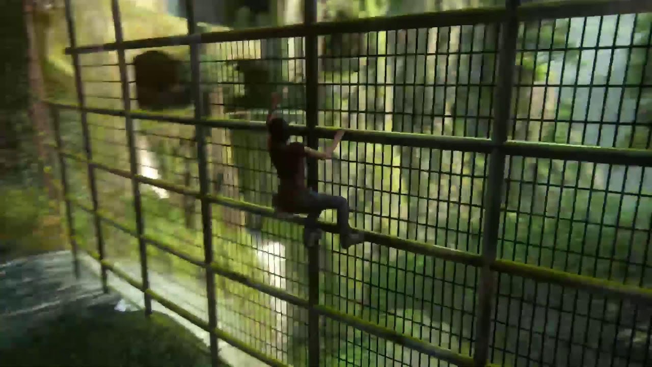 Uncharted Legacy PS5 Pro