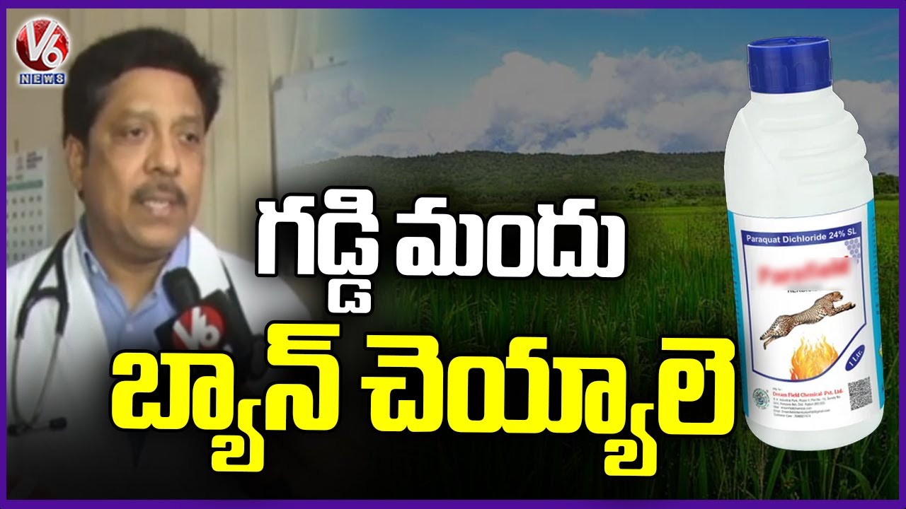 Face To Face With General Medicine Hod Dr Sunil Over Paraquat | V6 News
