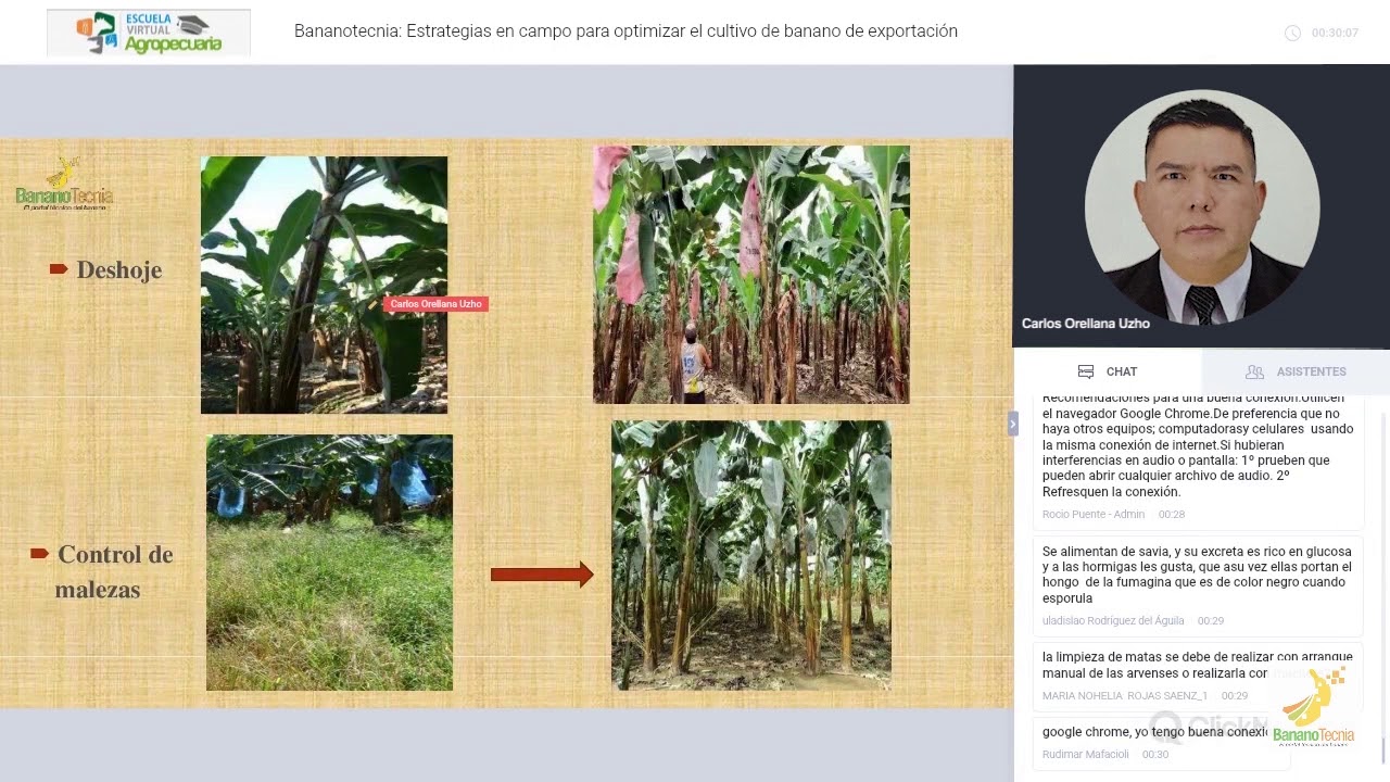 Conferencia Estrategias en campo para optimizar el cultivo de banano. Carlos Orellana (Ecuador)