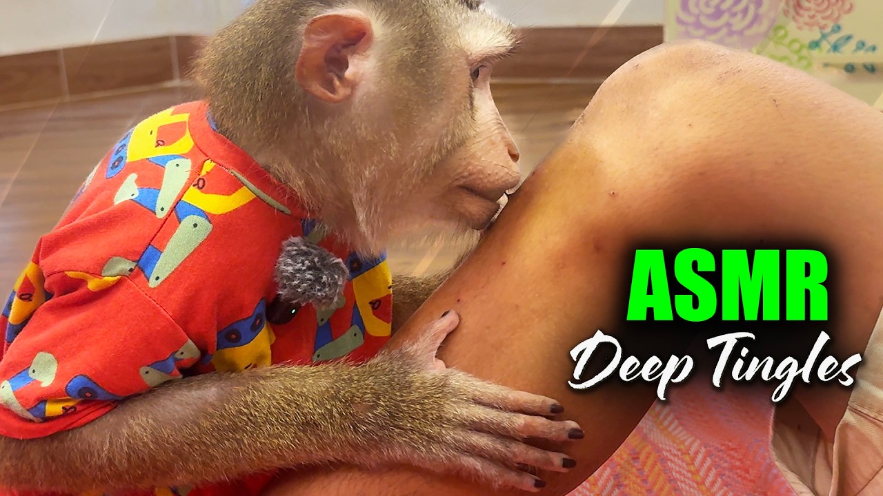 99% Fall Asleep Fast (NO TALKING) | Deep Tingly Hair SCRATCHING & PICKING ASMR