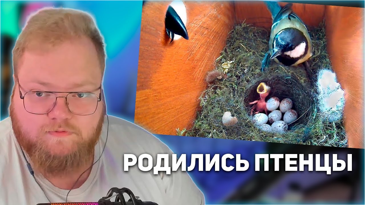 РЕАКЦИЯ T2x2: У НАС РОДИЛИСЬ МАЛЕНЬКИЕ ПТИЧКИ И ПОДВЕРГЛИСЬ АТАКЕ ХИЩНИКА!