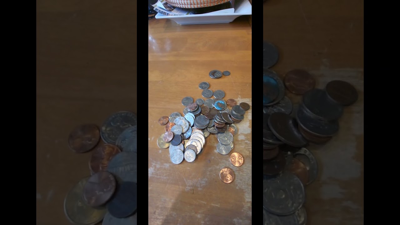 How many valuable coins in 6 months' worth of pocket change?
