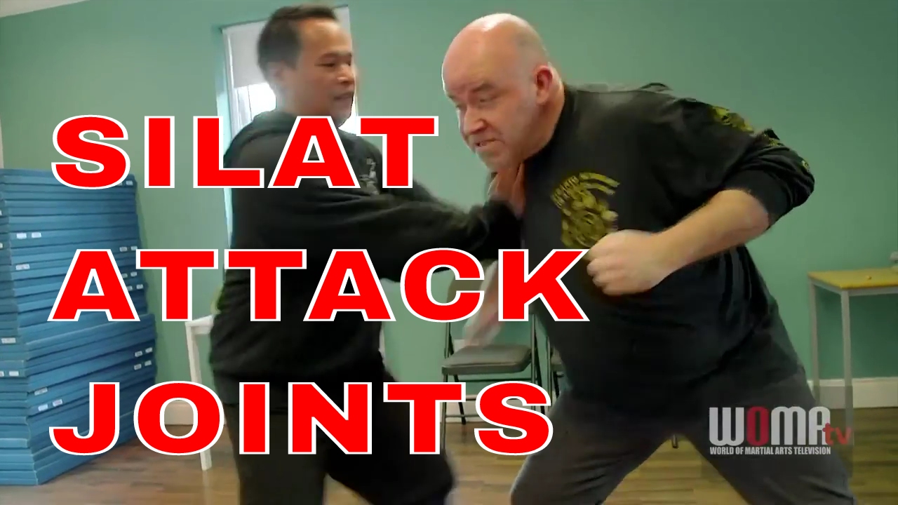 SILAT Suffian ATTACK THE JOINTS