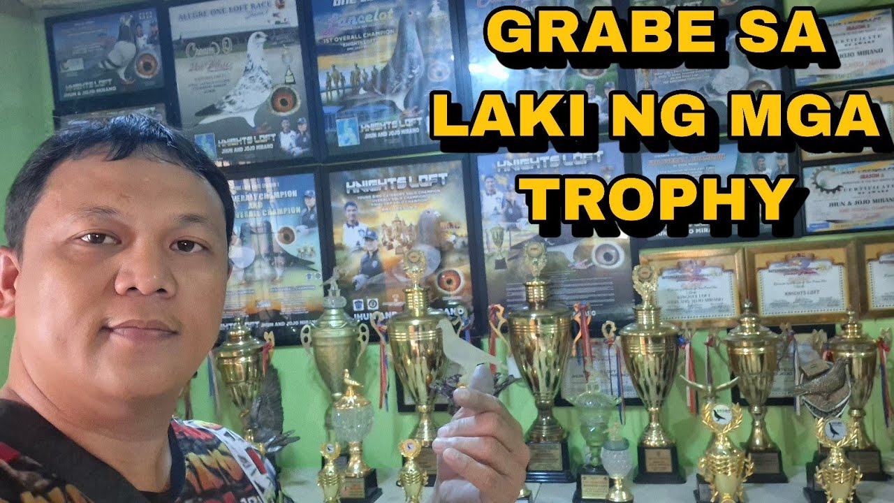 KNIGHTS LOFT NAGDAGDAG NG BREEDING CAGE! GRABE ANG LALAKI NG MGA TROPHY NILA! DAGDAG PWERSA TAYO!