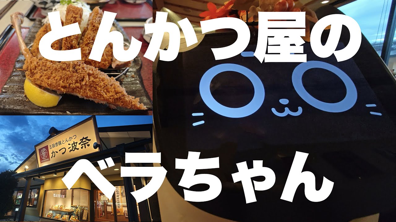 【かつ波奈】とんかつ屋さんにベラちゃんがいました