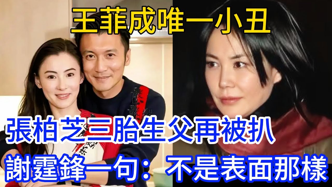 20年的愛恨糾葛，謝霆鋒、王菲、張柏芝三人的故事，早已超越了八卦範疇，它更像是一部社會情感教材，讓我們思考：在愛情裡，真正讓人受傷的原因，是否真的如影片中所說，只是因為“心裡不甘心”？