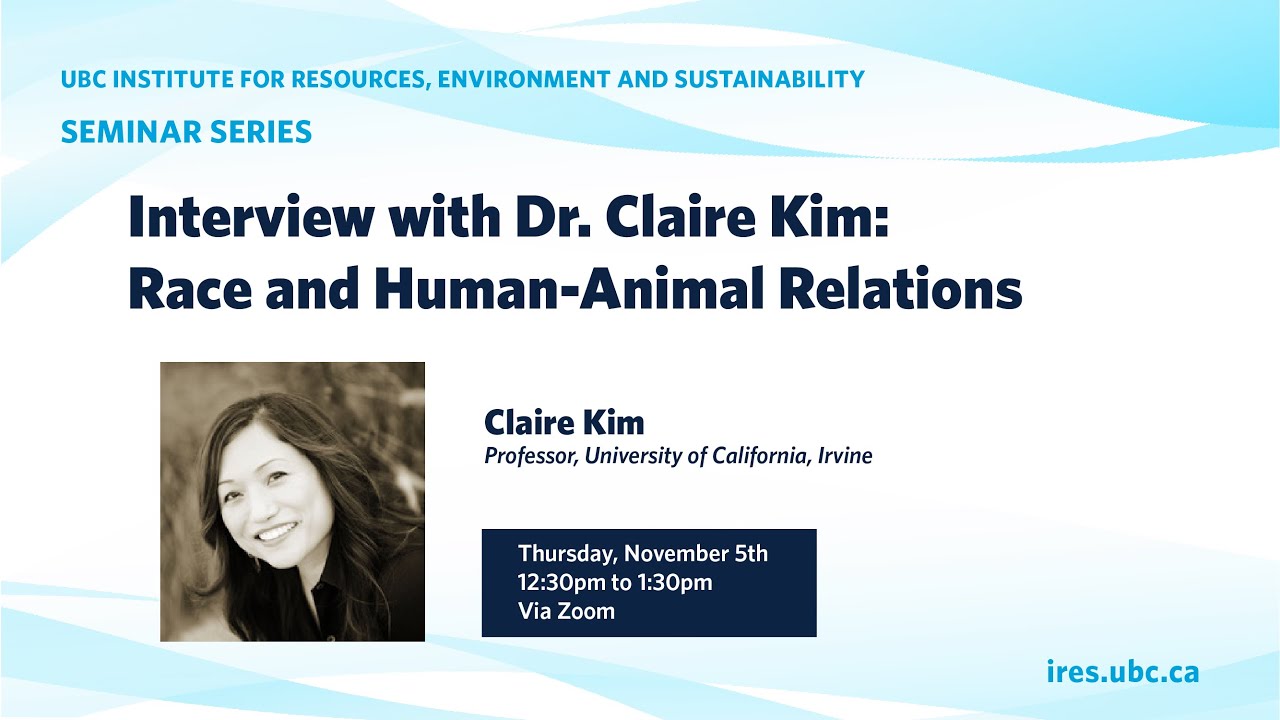 2020 11 05 IRES Faculty Seminar with Claire Kim