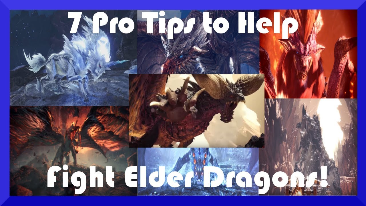 7 Pro Tips to Help Fight Elder Dragons!