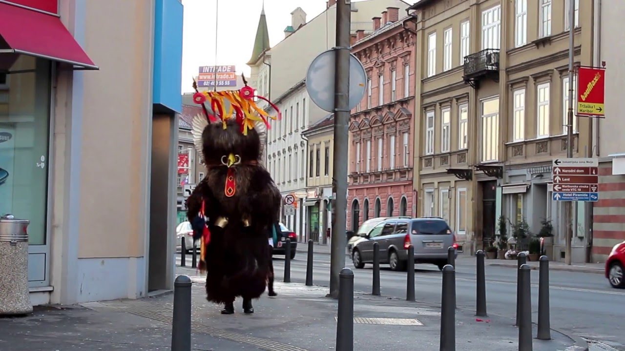 Skrita kamera korant