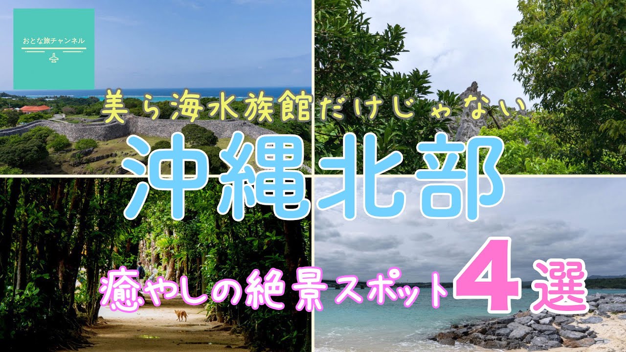 【沖縄観光】美ら海水族館から近い！沖縄北部観光おすすめ4選