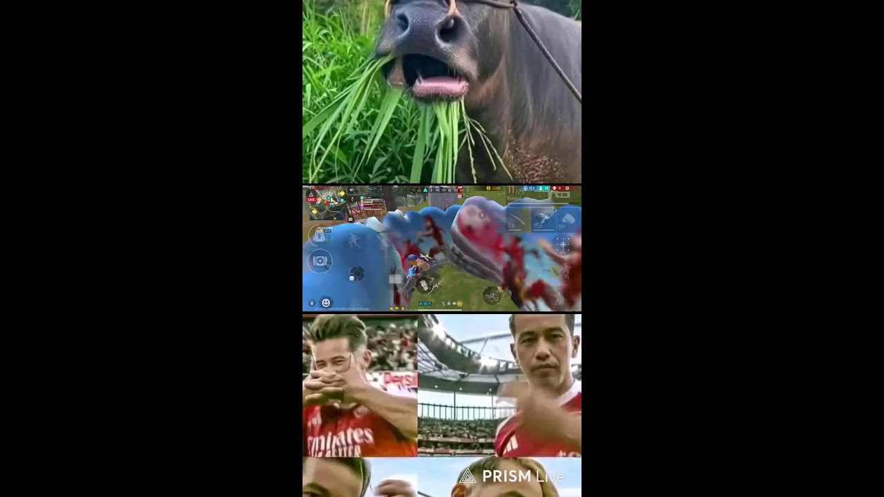 HUAHAHAHAH AKU KEMBALI