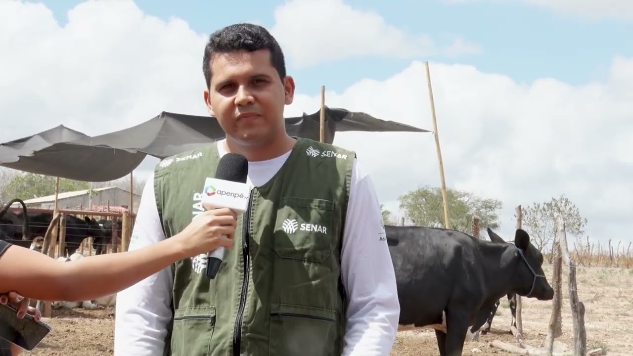 SERGIPE RURAL - PROGRAMA 31 - 2ª temporada
