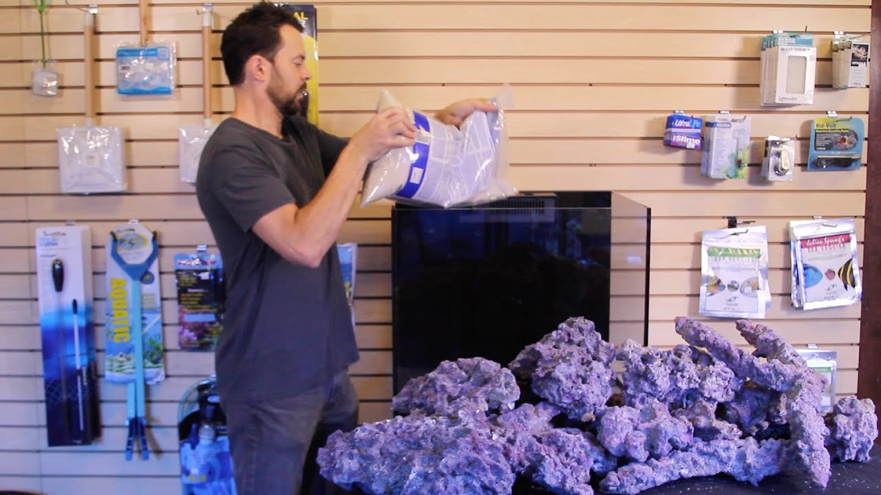 Red Sea Reefer pt2: Setting Rock