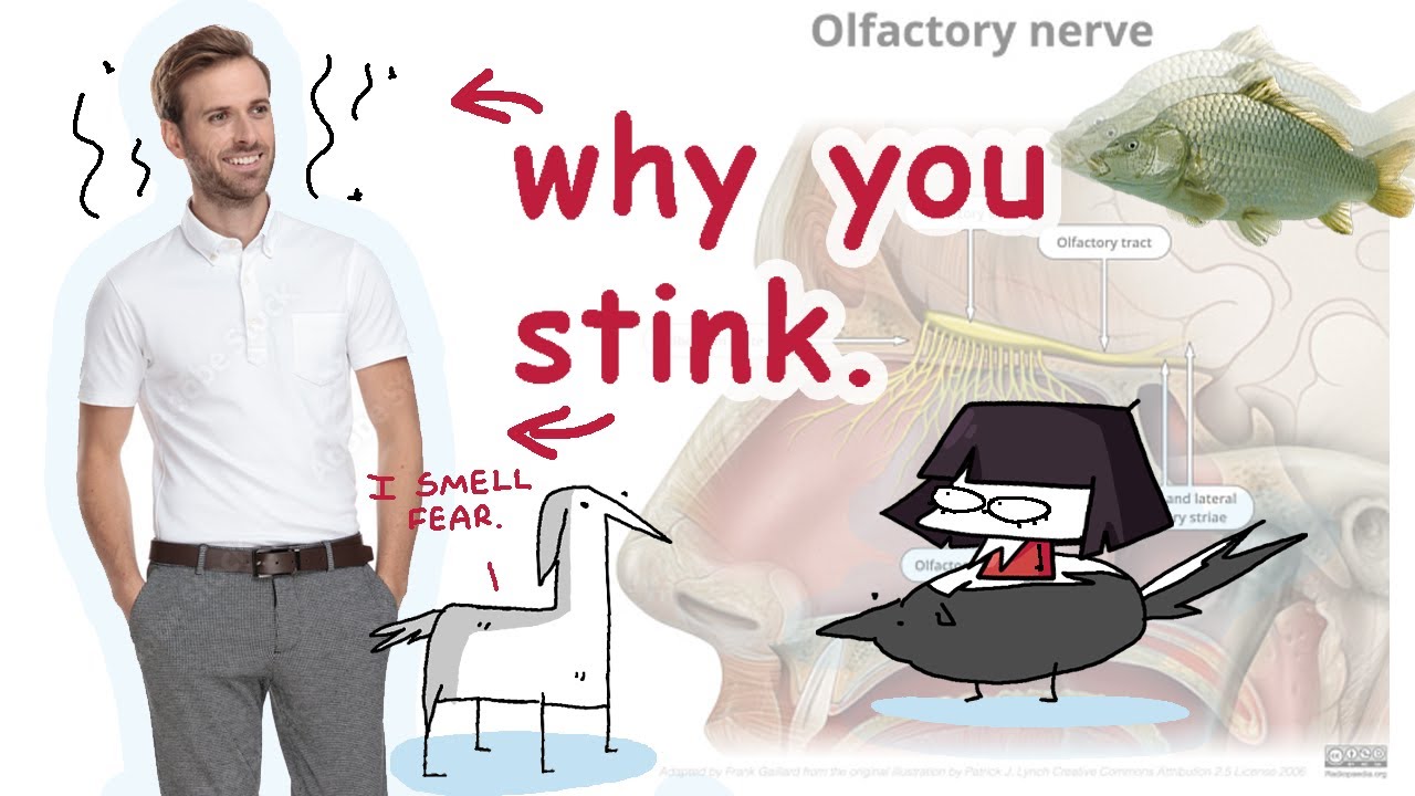 the benefits of being a stinky little guy