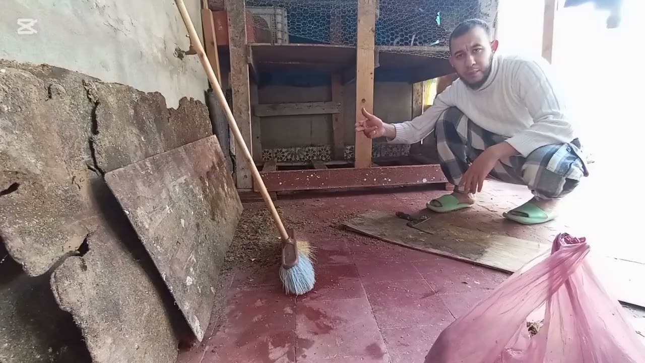 اليوم الخوت فصطح العجيب مع دجاج جمعة الهوم زبل حشكوم دكشي واعر الخوت عطيتهم مياكلو 🐓🐔🐔🌾🌽،🤗🌹💐👍👍