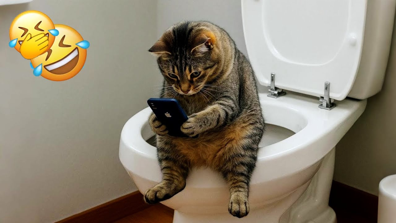 You Laugh You Restart ❤️ Funniest Cats and Dogs 2026 🐕‍🦺 😸 Part 11
