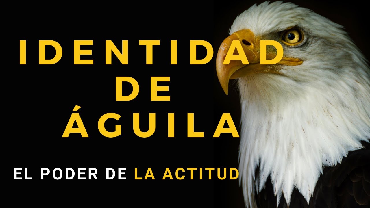 IDENTIDAD DE ÁGUILA - Actitud De Águila