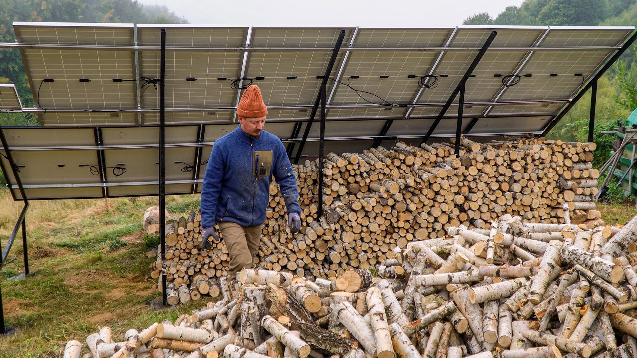#43 Firewood for 6 Months Winter In Carpathian Mountains