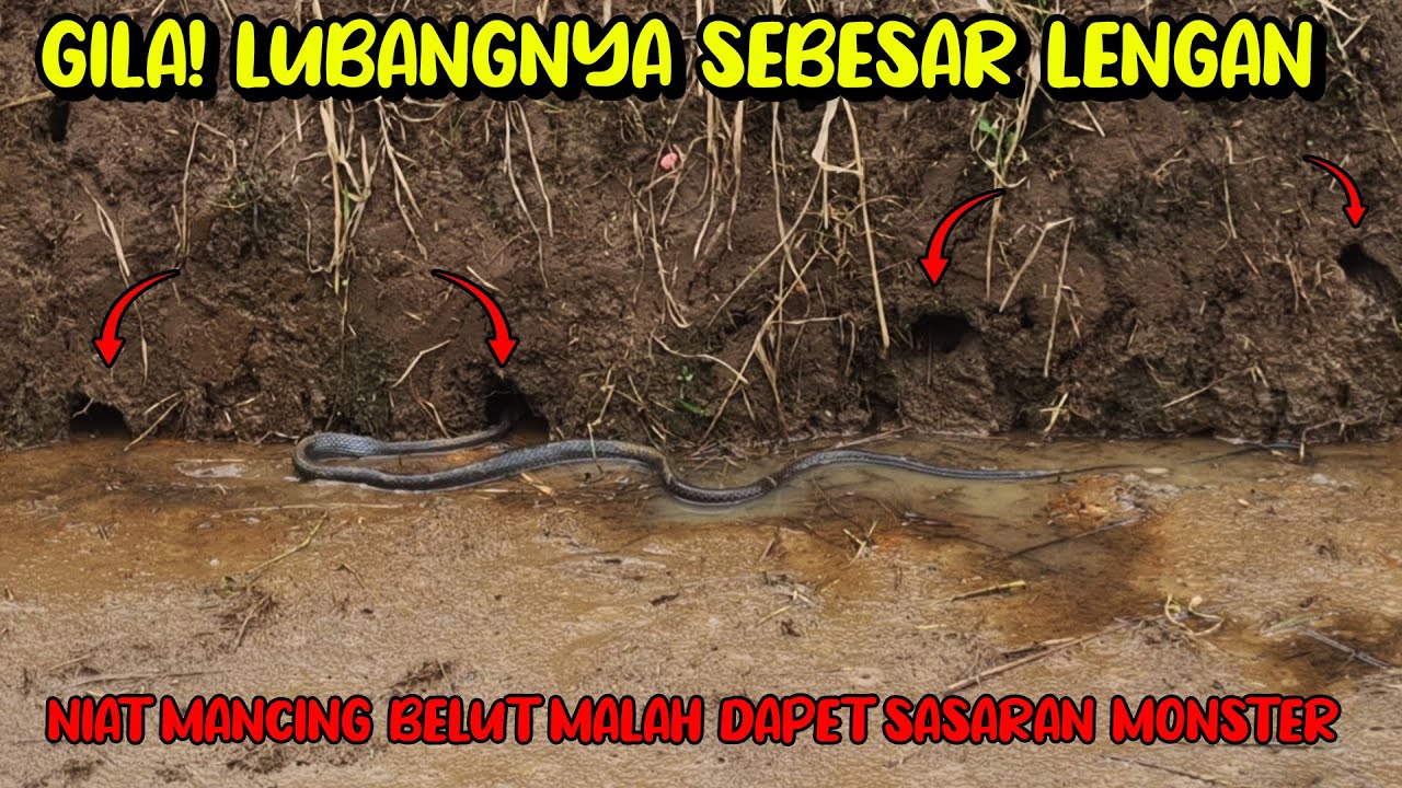 MONSTER LUBANG BESAR TERPANCING! TARIKANNYA BIKIN TANGAN KESELEO?!