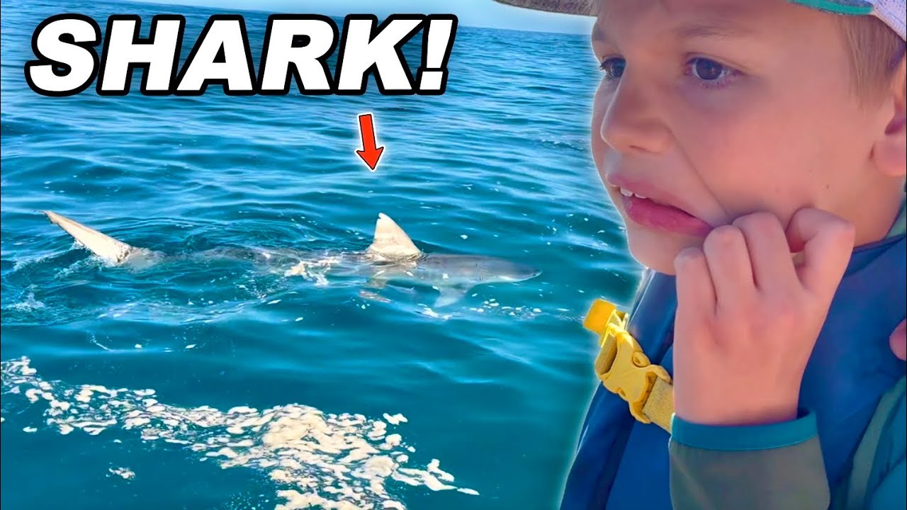 Once In A Lifetime SHARK Encounter!