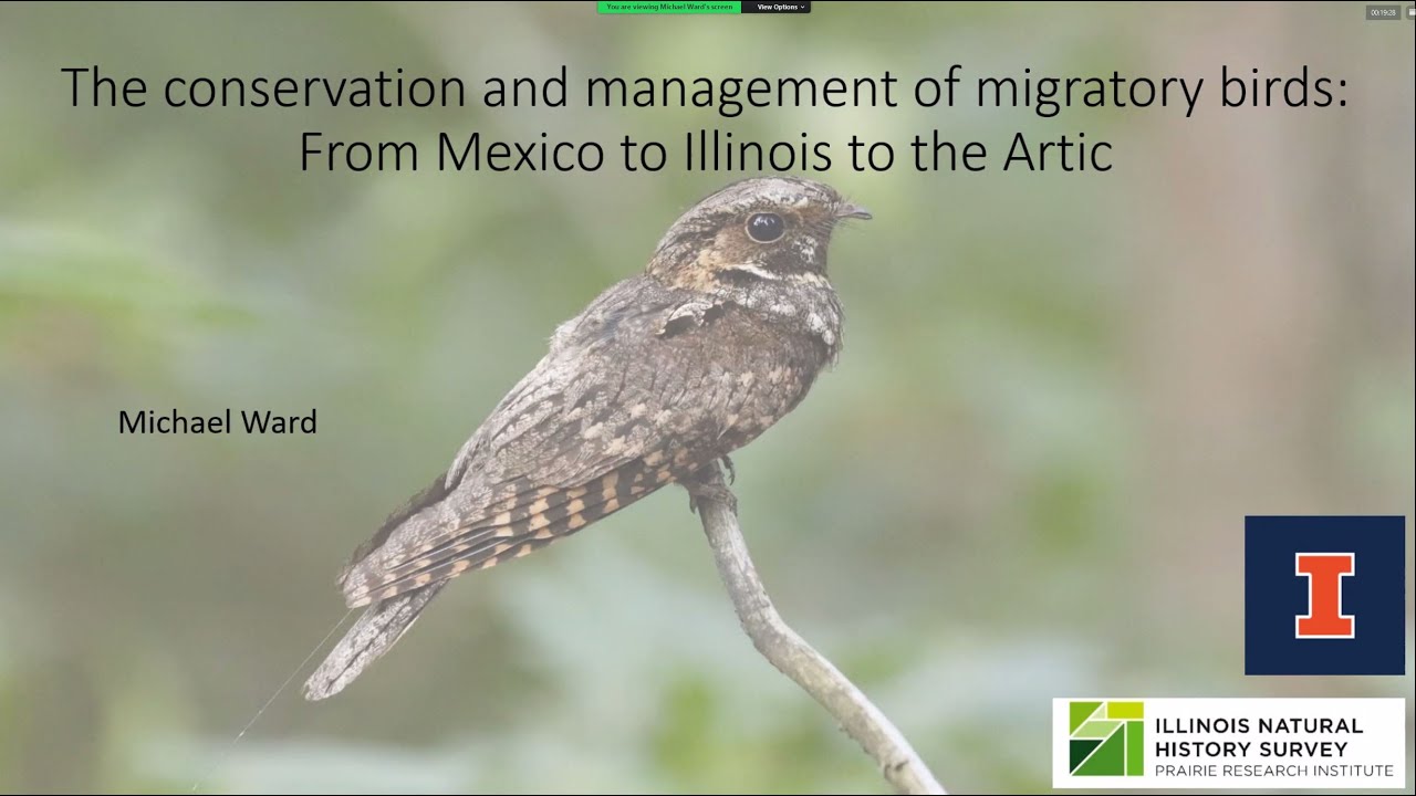 The Conservation and Management of Migratory Birds