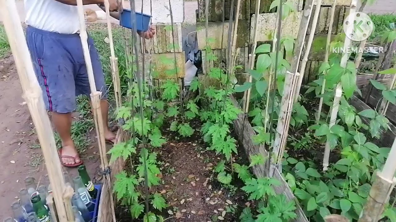 MAGANDANG UMAGA PO SA INYONG LAHAT