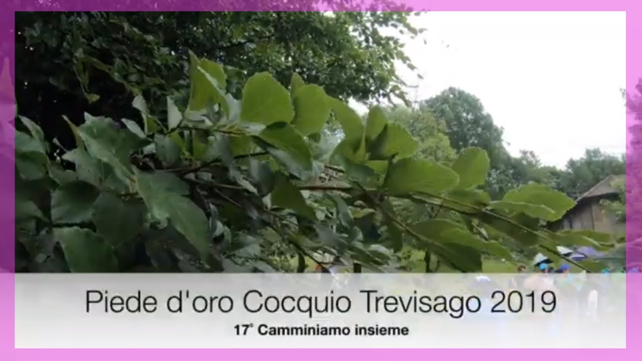 Piede d'oro Cocquio Trevisago 2019