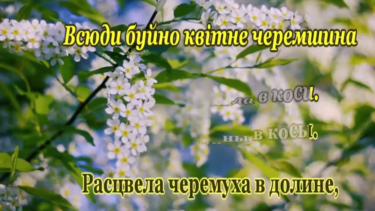 Cheremshyna _ Dmytro Hnatyuk - Черемшина (sovanik959-караоке)