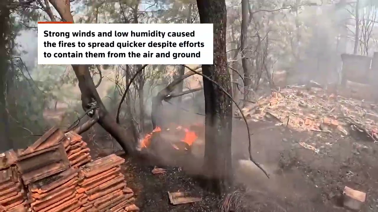 Bodycam captures Turkish firefighter battling wildfire