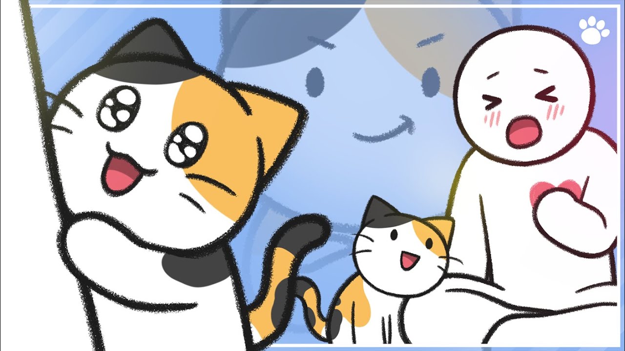 Health Benefits of Being a Cat Owner and Sacrifices to Make | BEMYPET's Tips