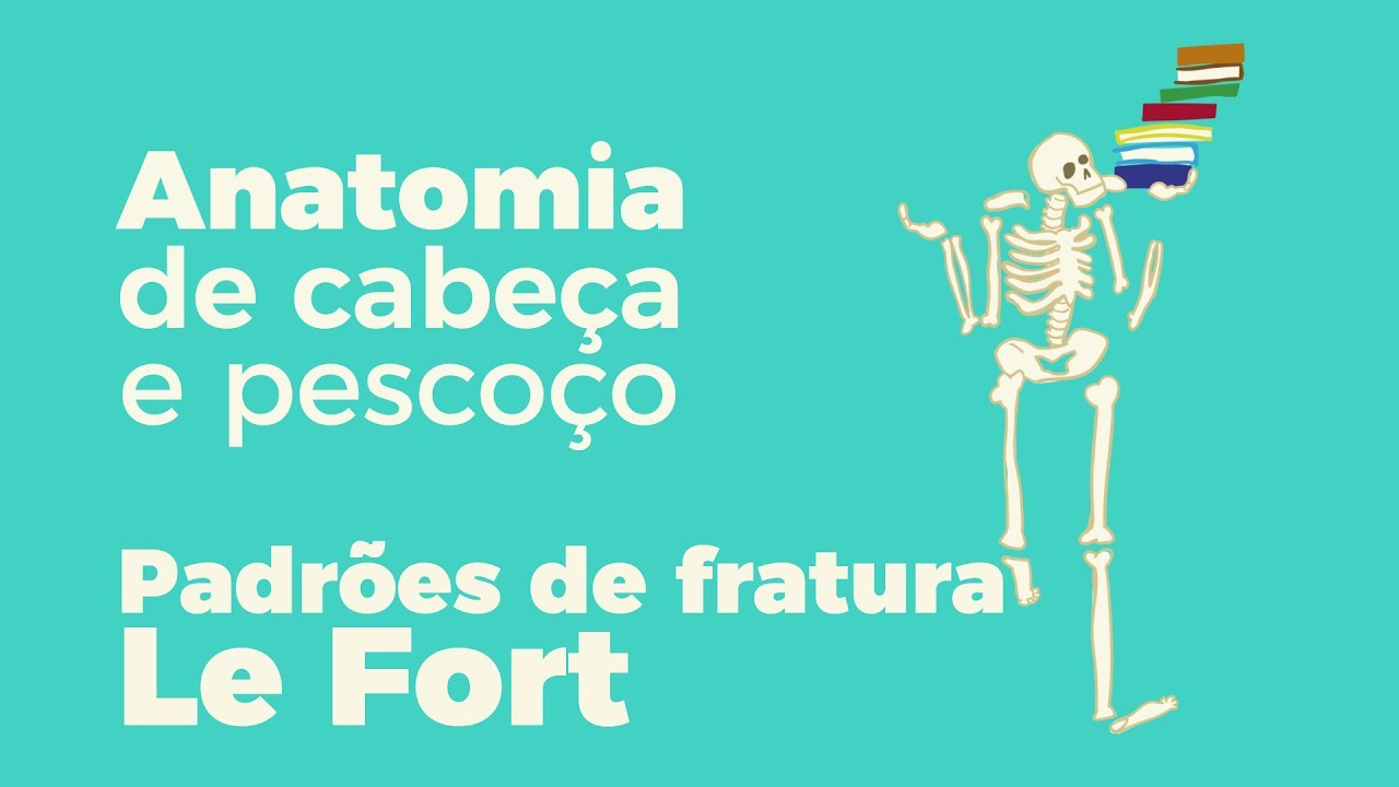 Anatomia de Cabeça e Pescoço: Padrões de fratura Le Fort