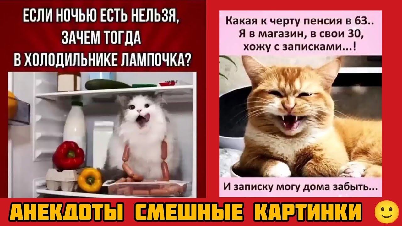 ЕСЛИ НОЧЬЮ ЕСТЬ НЕЛЬЗЯ, ЗАЧЕМ ТОГДА В ХОЛОДИЛЬНИКЕ ЛАМПОЧКА? смешные картинки и весёлая музыка 🤣