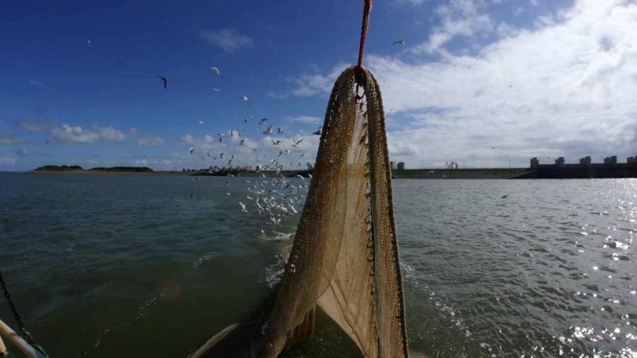 Dagje Waddenzee met Jan Rotgans
