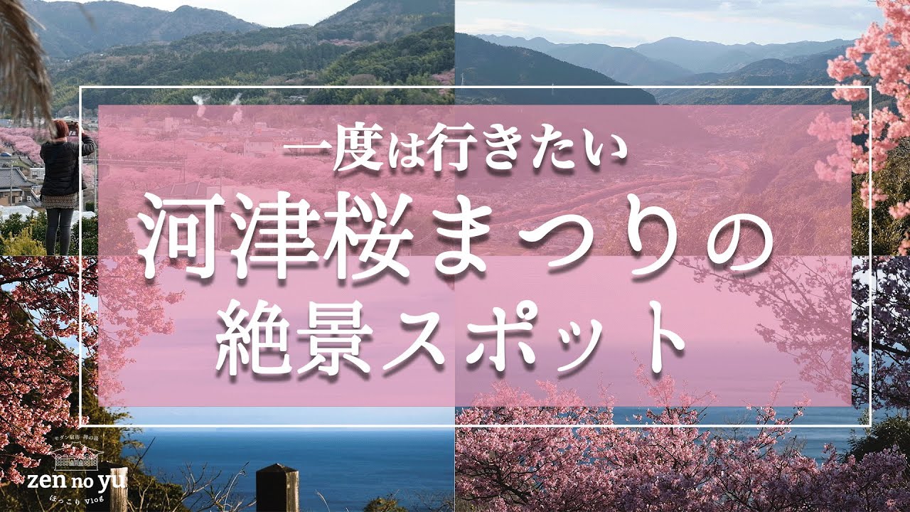 【穴場】上から河津桜を眺める!?河津町が誇る絶景スポットで感動してきました！