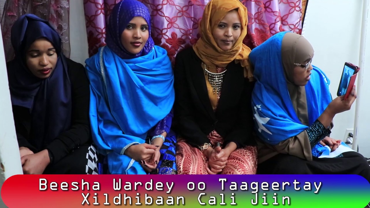 Beesha Wardey ee Maraykanka oo Taageertay Xildhibaan Cali Jiin Universal Tv.