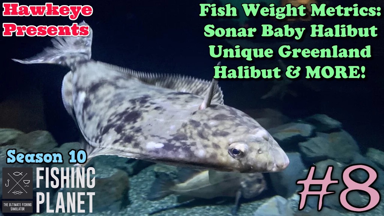 Fishing Planet S10 #8 - Fish Weight Metrics - Sonar Baby Halibut: UNIQUE Green Halibut & MORE!