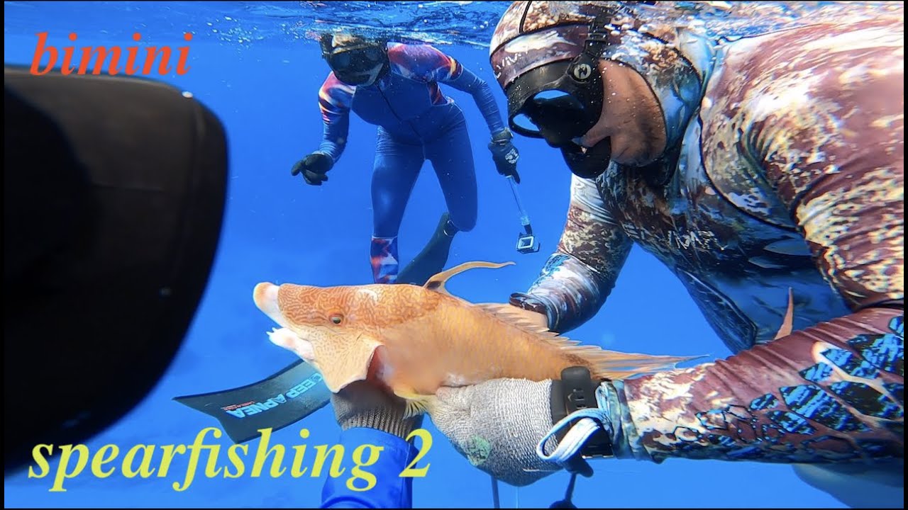 🐟segundo dia 🦞de pesca 🐠submarina en bimini Bahamas 🐠EP-129
