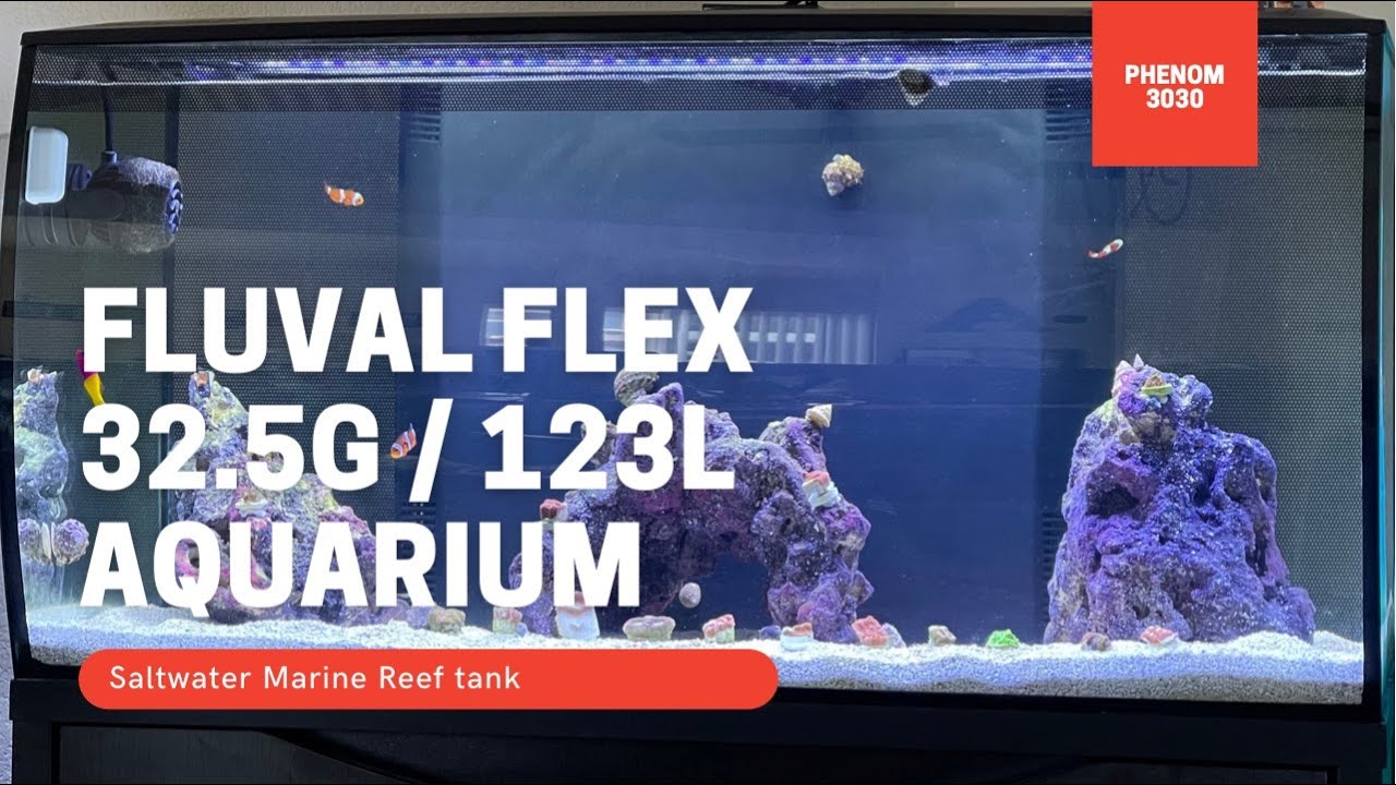 Fluval Flex 32.5g | 123L Saltwater Marine Reef tank aquarium!