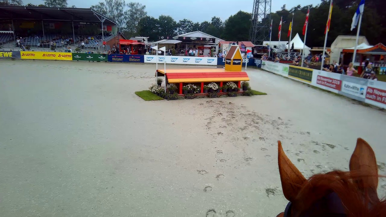 VASSILY DE LASSOS Luhmuehlen CCI4 2019