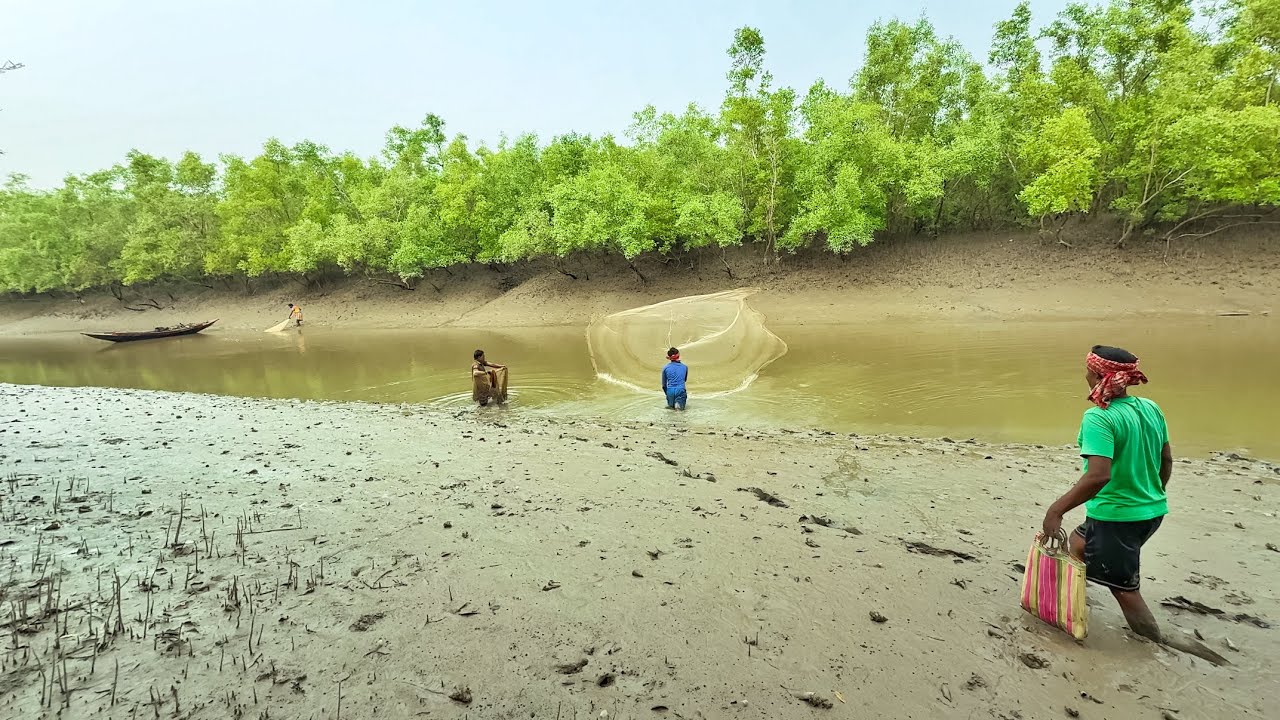 খয়রাজাল ও দুগাছ হাতজাল দিয়ে,অনেক পার্শ্বে,চিংড়ি মাছ ধরলাম!!!