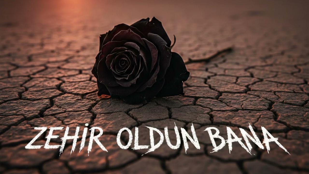 Zehir Oldun Bana《 AI Music 》