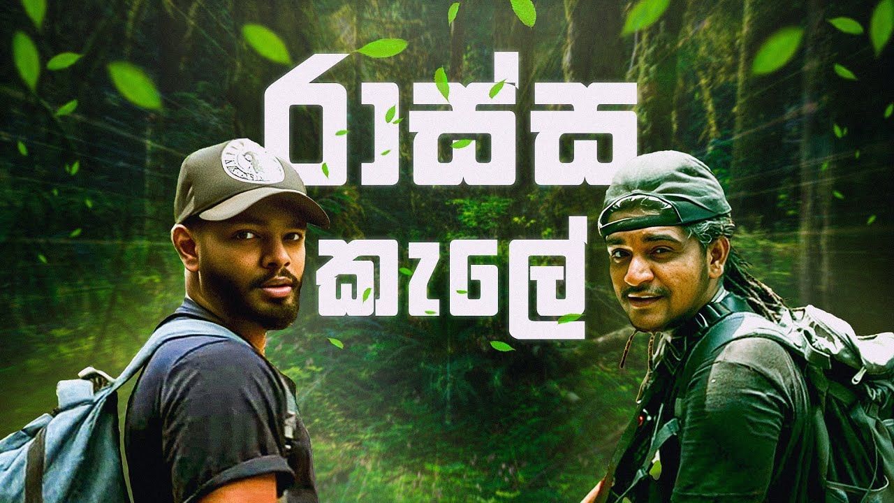 Survive in රාස්ස කැලේ !!