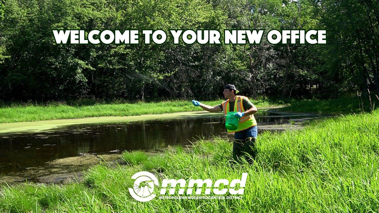 Work for Mosquito Control This Summer!