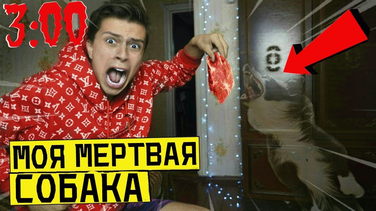 ПРИЗВАЛ ПОГИБШУЮ СОБАКУ К СЕБЕ В ДОМ в 3:00 *эмоционально*