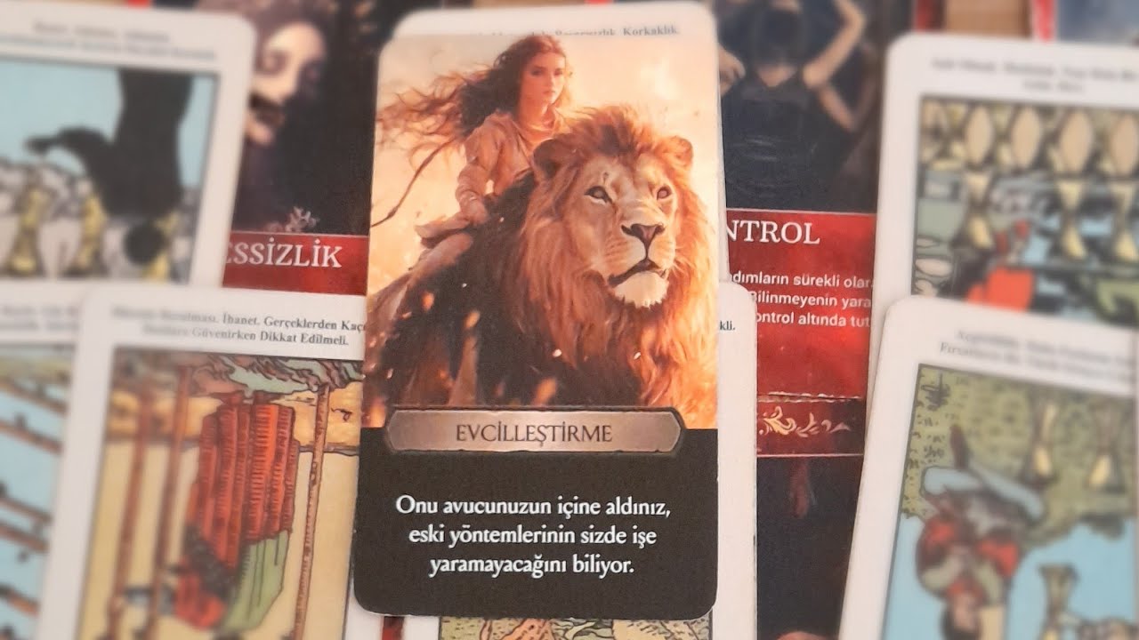 ÜÇÜNCÜ KİŞİ BAZI MESAJLARI YAKALAMIŞ ORTALIK YANGIN YERİ KAVGALAR BİTMİYOR 🥱
