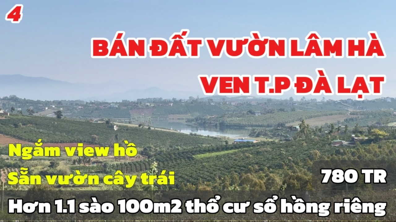 Bán Gấp Đất Vườn Lâm Hà – 1,1 Sào View Hồ Xa | Thổ Cư 100m² | Giá Chỉ 780 Triệu